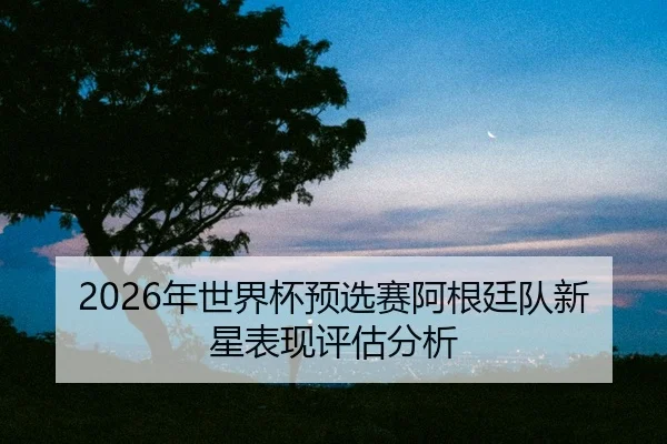 nian-shi-jie-bei-yu-xuan-sai-a-gen-ting-dui-xin-xing-biao-xian-ping-gu-fen-xi-2-677.jpg