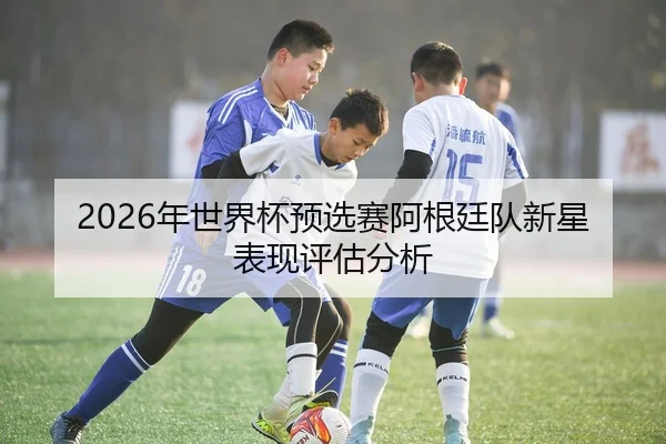 2026年世界杯预选赛阿根廷队新星表现评估分析