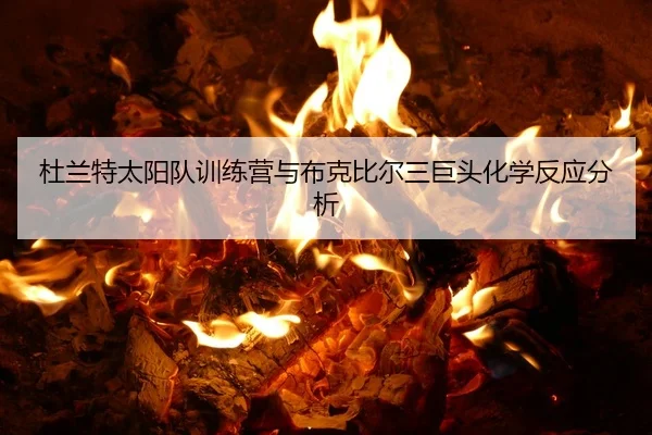 du-lan-te-tai-yang-dui-xun-lian-ying-yu-bu-ke-bi-er-san-ju-tou-hua-xue-fan-ying-fen-xi-3-478.jpg